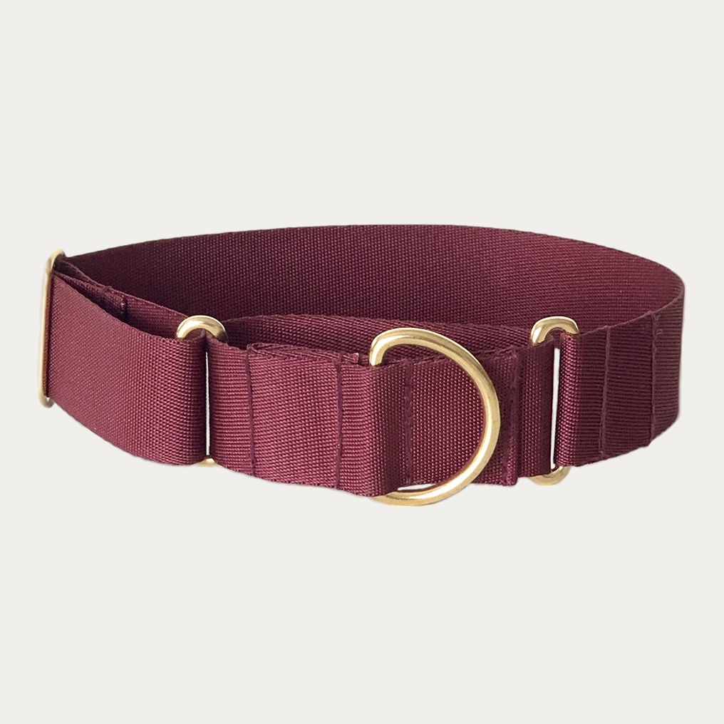 Collier martingale bordeaux