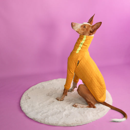 Pull à manches orange