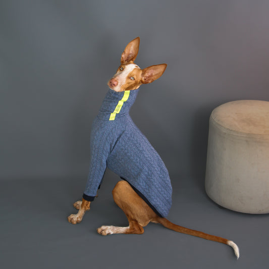 Pull à manches bleu