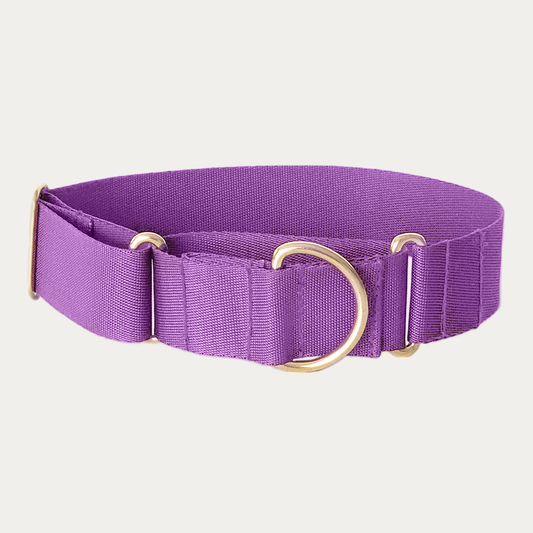 Collier martingale mauve
