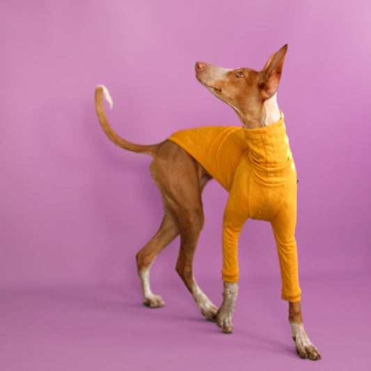 Pull à manches orange