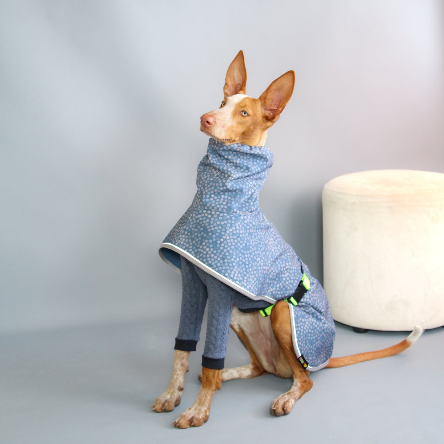Imperméable bleu