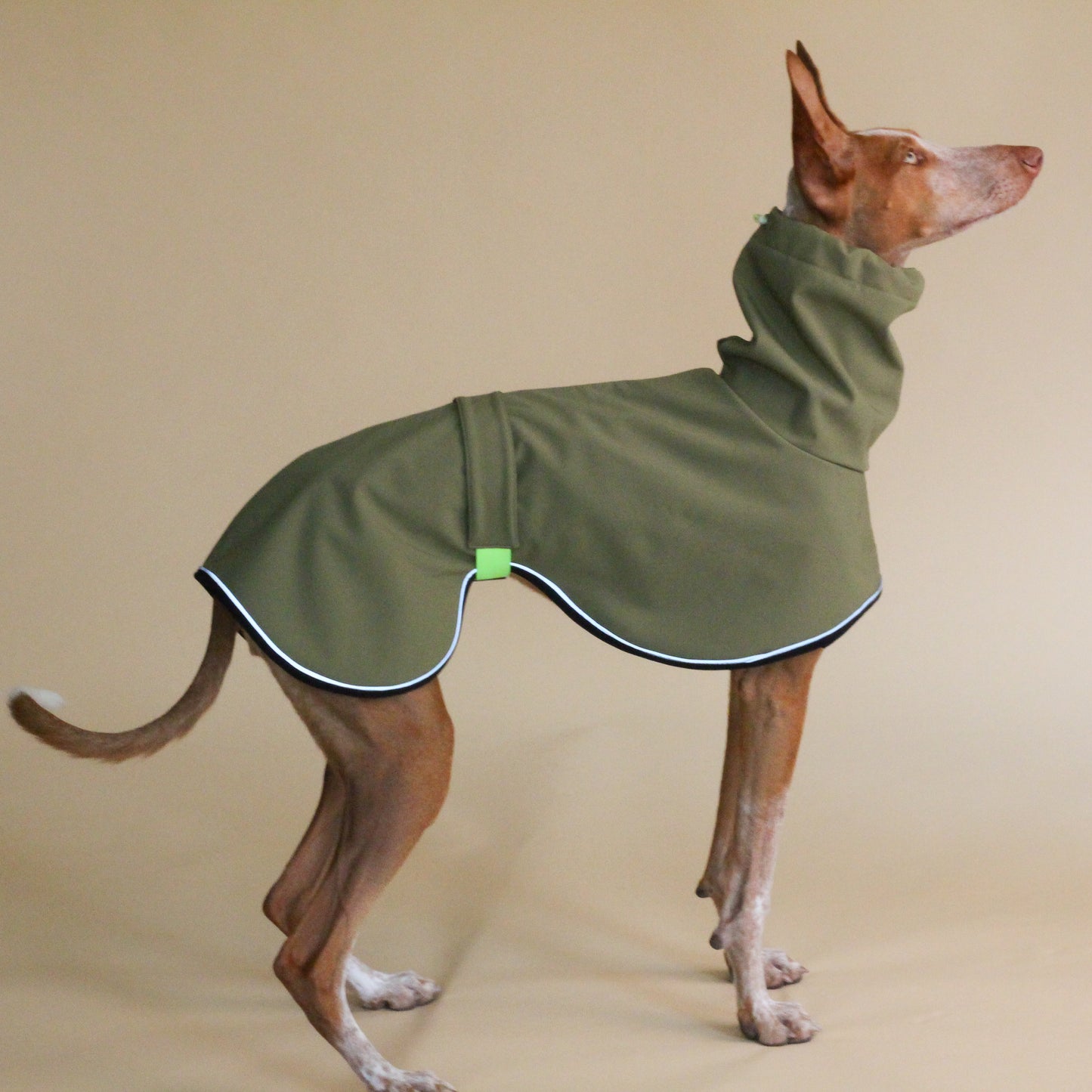 Imperméable olive