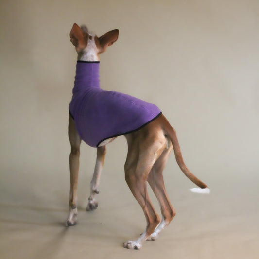 Pull mauve